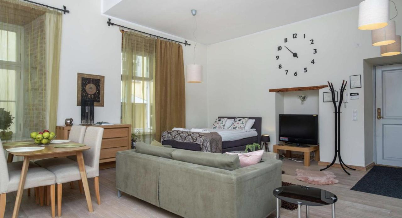 Spacious Studio Apartment In The Heart Of Old Town Tallinn Kültér fotó